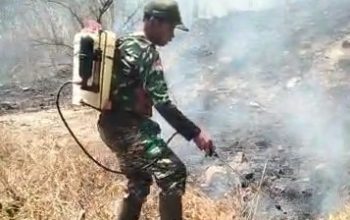 Gerak Cepat Tangani Karhutla, Babinsa Kodim 1409 Gowa Selamatkan Lahan Warga Sokkolia