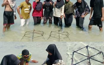 Mahasiswa KKN USN Kolaka Lakukan Transplantasi Terumbu Karang di Desa Wadiabero