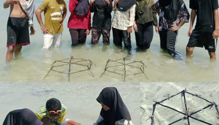 Mahasiswa KKN USN Kolaka Lakukan Transplantasi Terumbu Karang di Desa Wadiabero