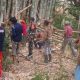 Kebakaran Lahan 1,5 Hektare di Manimbahoi Berhasil Dipadamkan