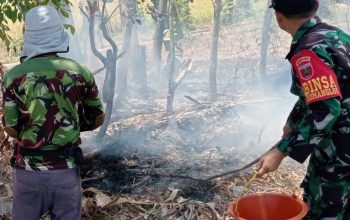 Lahan 2 Hektar di Romangloe Terbakar, Aksi Cepat Babinsa Cegah Api Meluas