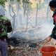 Lahan 2 Hektar di Romangloe Terbakar, Aksi Cepat Babinsa Cegah Api Meluas
