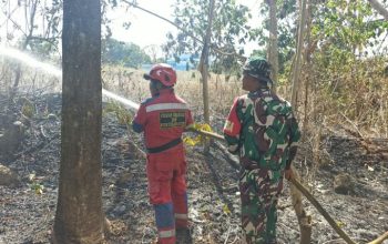 Aksi Cepat Babinsa dan Damkar Padamkan Kebakaran Lahan Seluas 1 Hektar di Gowa