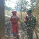 Aksi Cepat Babinsa dan Damkar Padamkan Kebakaran Lahan Seluas 1 Hektar di Gowa