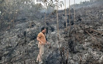 Polda Jambi Tangani Karhutla Seluas 5 Hektare di Areal PT Jebus Maju Merangin