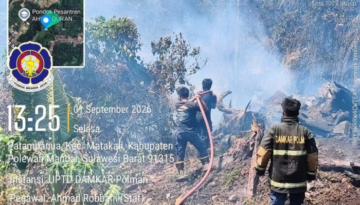 Titik Panas Cuaca, Damkar Polman Padamkan Kebakaran Lahan di Matakali dan Tinambung