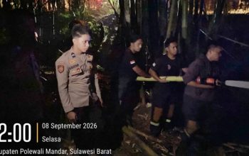 Tangani Lima Kebakaran Sehari Semalam, Satgas Karhutla Damkar Polman Lanjutkan Validasi dan Perkuat Sinergi Desa Pasca Kebakaran