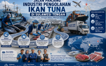 Jalan Panjang Industri Pengolahan Ikan Tuna di Sulawesi Tengah