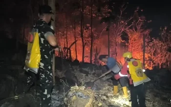 Aksi Heroik Personel Gabungan dan Masyarakat Padamkan Karhutla di Kabupaten Gowa