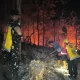 Aksi Heroik Personel Gabungan dan Masyarakat Padamkan Karhutla di Kabupaten Gowa