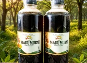 Manfaat Madu Murni Abu Ken untuk Imun Tubuh Optimal