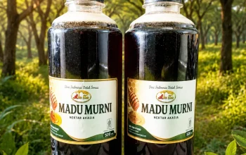 Manfaat Madu Murni Abu Ken untuk Imun Tubuh Optimal