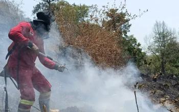 Gerak Cepat Padamkan Kebakaran Lahan di Gowa, Sinergi TNI dan Manggala Agni Buat Hasil Nyata
