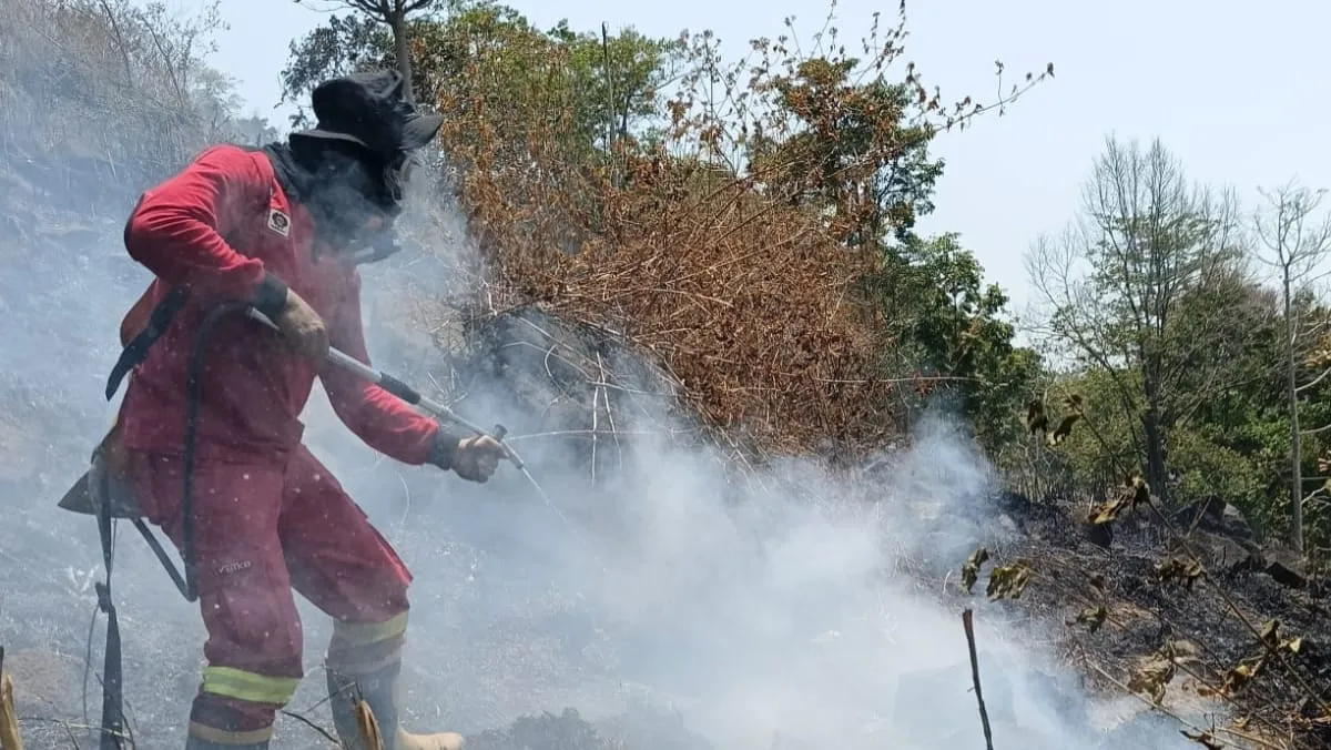 Gerak Cepat Padamkan Kebakaran Lahan di Gowa, Sinergi TNI dan Manggala Agni Buat Hasil Nyata