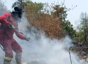 Gerak Cepat Padamkan Kebakaran Lahan di Gowa, Sinergi TNI dan Manggala Agni Buat Hasil Nyata
