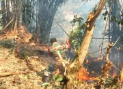 Aksi Cepat Babinsa dan Masyarakat Jinakkan Kebakaran Lahan di Parigi Gowa