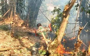 Aksi Cepat Babinsa dan Masyarakat Jinakkan Kebakaran Lahan di Parigi Gowa