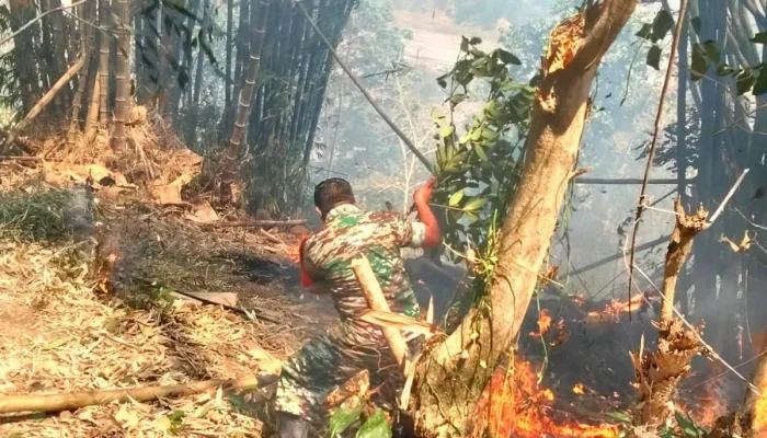Aksi Cepat Babinsa dan Masyarakat Jinakkan Kebakaran Lahan di Parigi Gowa