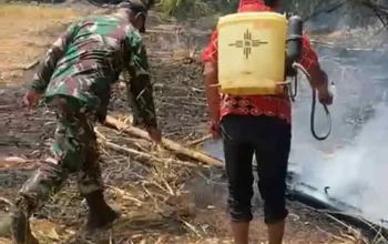 Babinsa Kelurahan Sapaya Bergerak Cepat Tangani Kebakaran Lahan Warga