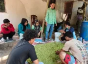 Proses Fermentasi yang dilakukan oleh Mahasiswa KKN dengan Warga (dok.istemewa)