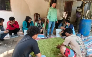 Proses Fermentasi yang dilakukan oleh Mahasiswa KKN dengan Warga (dok.istemewa)