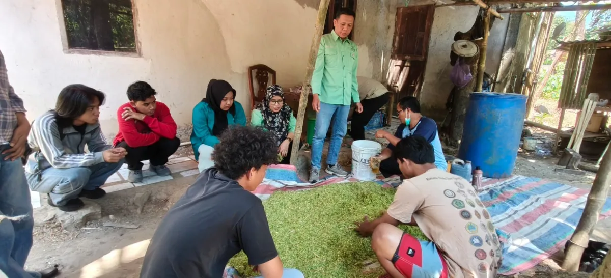 Proses Fermentasi yang dilakukan oleh Mahasiswa KKN dengan Warga (dok.istemewa)