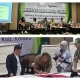 Dari Konflik Agraria hingga Kerusakan Lingkungan, MSF Kolaka Desak Tata Kelola Nikel yang Berkeadilan