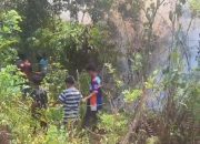Sembari Tunggu Damkar, Warga Nanga Nanga Baruga Gotong Royong Padamkan Api Di Kawasan Hutan