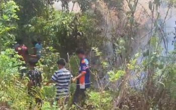 Sembari Tunggu Damkar, Warga Nanga Nanga Baruga Gotong Royong Padamkan Api Di Kawasan Hutan