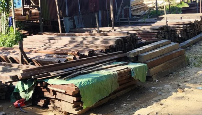 Kasus Kayu Ilegal Balikpapan: Dari Penyegelan hingga Dugaan Keterlibatan Oknum
