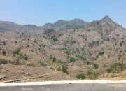 DPP LSM Gempa Indonesia Resmi Laporkan Dugaan Pembabatan Hutan Lindung Borong Mampua, Desak APH Usut Dan Tindak Tegas Pelaku