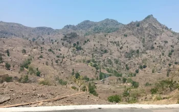 DPP LSM Gempa Indonesia Resmi Laporkan Dugaan Pembabatan Hutan Lindung Borong Mampua, Desak APH Usut Dan Tindak Tegas Pelaku