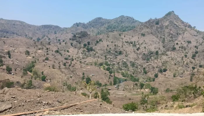 DPP LSM Gempa Indonesia Resmi Laporkan Dugaan Pembabatan Hutan Lindung Borong Mampua, Desak APH Usut Dan Tindak Tegas Pelaku