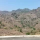 DPP LSM Gempa Indonesia Resmi Laporkan Dugaan Pembabatan Hutan Lindung Borong Mampua, Desak APH Usut Dan Tindak Tegas Pelaku