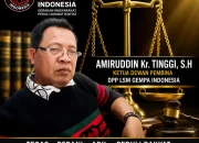 Dugaan Pembabatan Hutan Lindung Borong Mampua Dilaporkan, APH Didesak Bertindak Tegas!