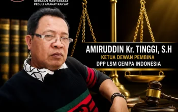 Dugaan Pembabatan Hutan Lindung Borong Mampua Dilaporkan, APH Didesak Bertindak Tegas!
