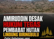 Amiruddin Desak Hukum Tegas Pembabat Hutan Lindung Biringbulu, Polisi Kehutanan yang Lalai Juga Harus Diperiksa!