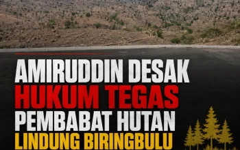 Amiruddin Desak Hukum Tegas Pembabat Hutan Lindung Biringbulu, Polisi Kehutanan yang Lalai Juga Harus Diperiksa!