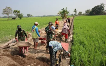 Sinergi TNI dan Rakyat, Pengerjaan Jalan Tani TMMD Ke-130 di Gowa Terus Digenjot