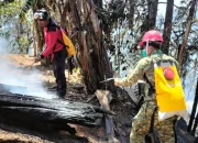 Aksi Cepat Gabungan TNI-Polri dan Manggala Agni Padamkan Kebakaran Lahan di Pattapang Tinggimoncong