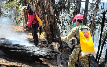 Aksi Cepat Gabungan TNI-Polri dan Manggala Agni Padamkan Kebakaran Lahan di Pattapang Tinggimoncong