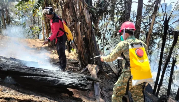 Aksi Cepat Gabungan TNI-Polri dan Manggala Agni Padamkan Kebakaran Lahan di Pattapang Tinggimoncong