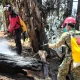Aksi Cepat Gabungan TNI-Polri dan Manggala Agni Padamkan Kebakaran Lahan di Pattapang Tinggimoncong