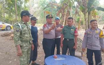 Provost Kodim Gowa dibantu warga amankan Granat Tangan di Desa Pannyangkalang   