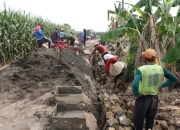 Tepat di Tengah Jalan! Talud Penahan Tanah TMMD Capai 50 Persen  