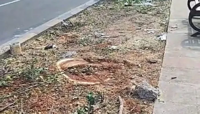 Penebangan Pohon Lindung Jalan Perjuangan, Kebon Jeruk,  Apakah Kepentingan Komersial Boleh Kalahkan Hak Ruang Hijau Publik?