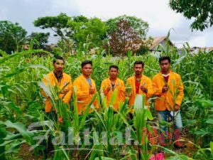 Wow..! Mahasiswa Pertanian UHO Temukan Teknologi Baru Guna Berantas Hama Ulat Tentara