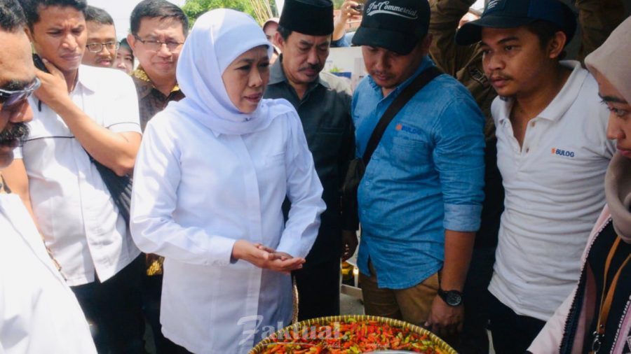 Harga Gula Jatim Naik dan Langka, Gubernur Khofifah Minta Satgas Pangan & KPPU Cek Stok di Gudang dan Pabrik