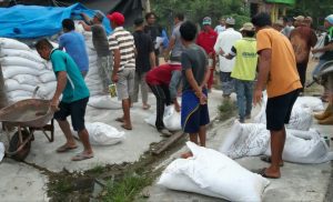 23 Ton Pupuk Gratis Bagi Warga Desa Pakue, Kolala Utara Didistribusi