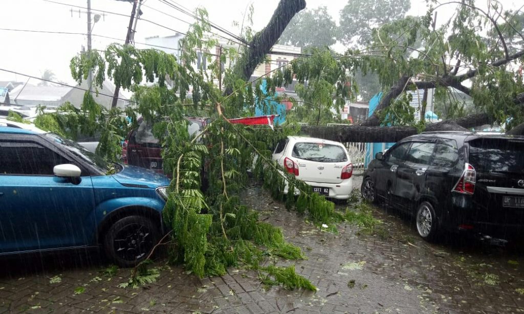 Pohon Tumbang Di RSUD Gowa, Kerugian Puluhan Juta Rupiah